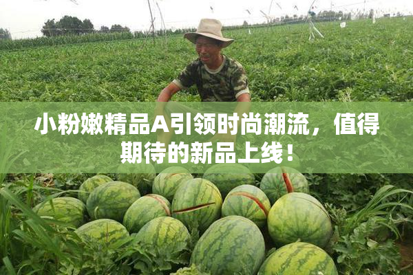 小粉嫩精品A引领时尚潮流，值得期待的新品上线！