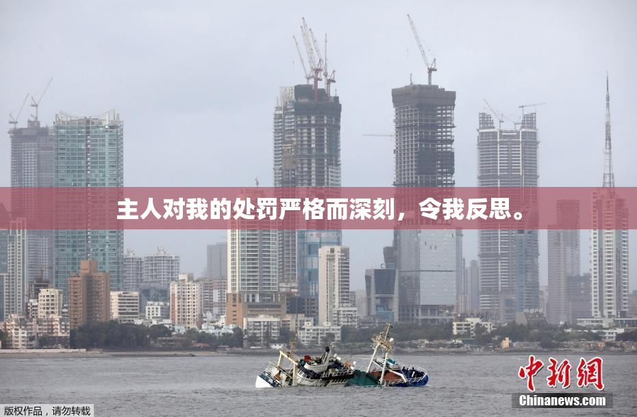 主人对我的处罚严格而深刻，令我反思。