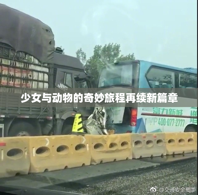少女与动物的奇妙旅程再续新篇章