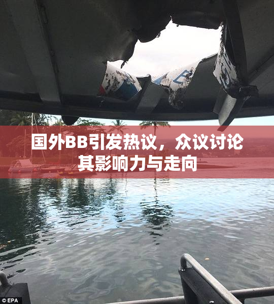 国外BB引发热议，众议讨论其影响力与走向