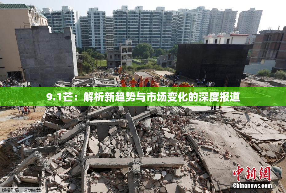 9.1芒：解析新趋势与市场变化的深度报道
