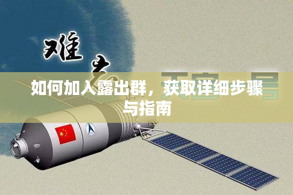 如何加入露出群，获取详细步骤与指南