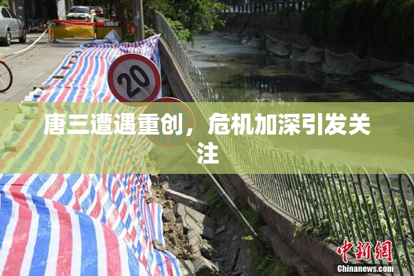 唐三遭遇重创，危机加深引发关注