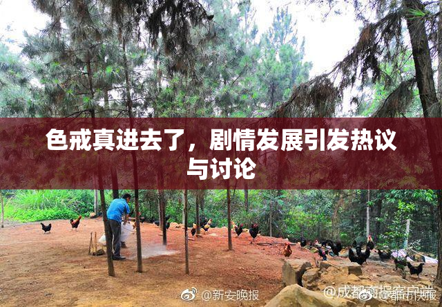色戒真进去了，剧情发展引发热议与讨论