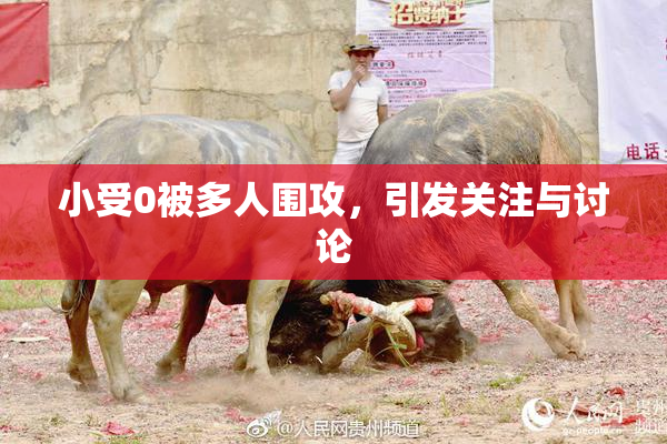 小受0被多人围攻，引发关注与讨论