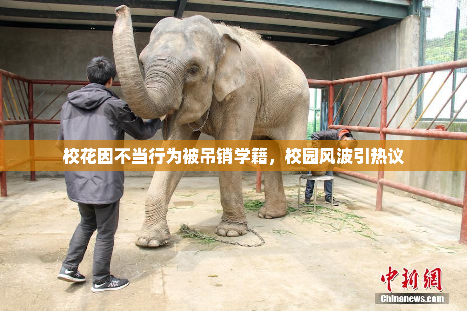 校花因不当行为被吊销学籍，校园风波引热议