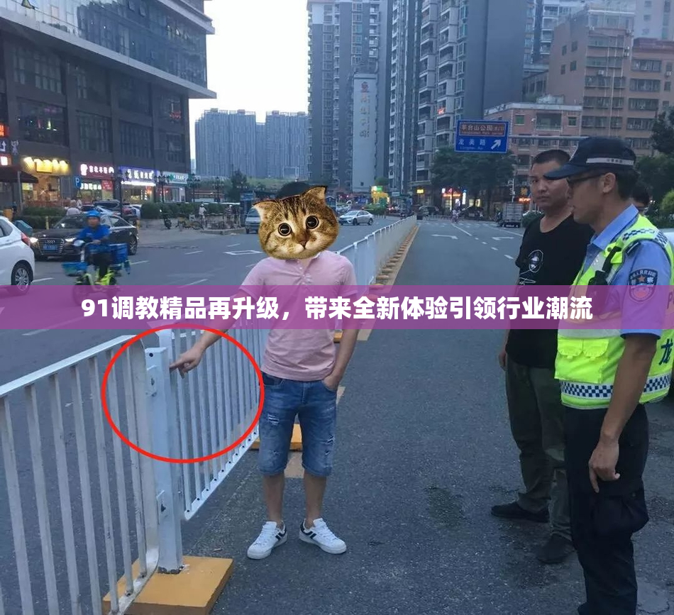 91调教精品再升级，带来全新体验引领行业潮流
