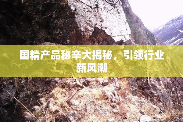 国精产品秘辛大揭秘，引领行业新风潮
