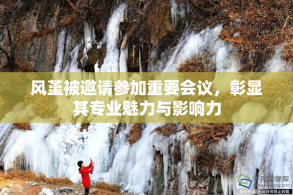 风堇被邀请参加重要会议，彰显其专业魅力与影响力