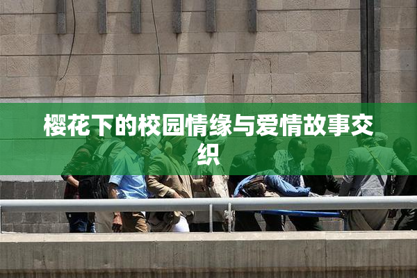 樱花下的校园情缘与爱情故事交织