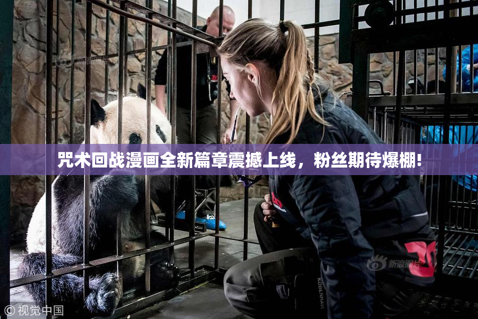 咒术回战漫画全新篇章震撼上线，粉丝期待爆棚!