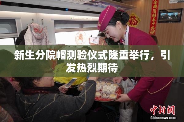 新生分院帽测验仪式隆重举行，引发热烈期待