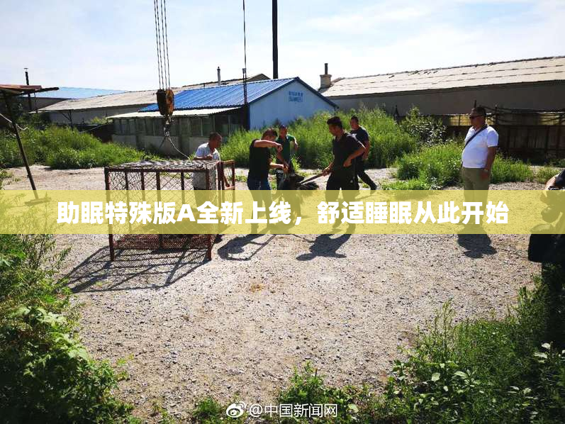 助眠特殊版A全新上线，舒适睡眠从此开始