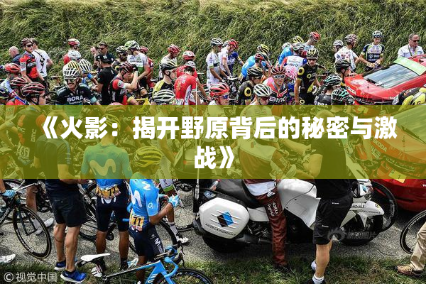 《火影：揭开野原背后的秘密与激战》