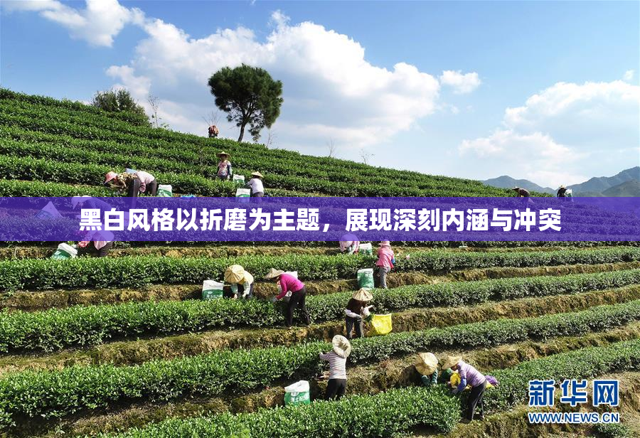 黑白风格以折磨为主题，展现深刻内涵与冲突