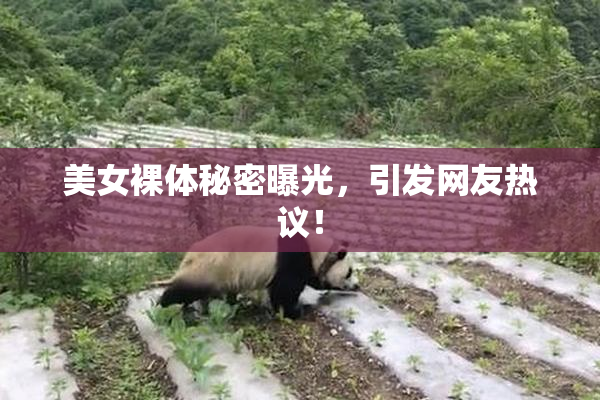 美女裸体秘密曝光，引发网友热议！