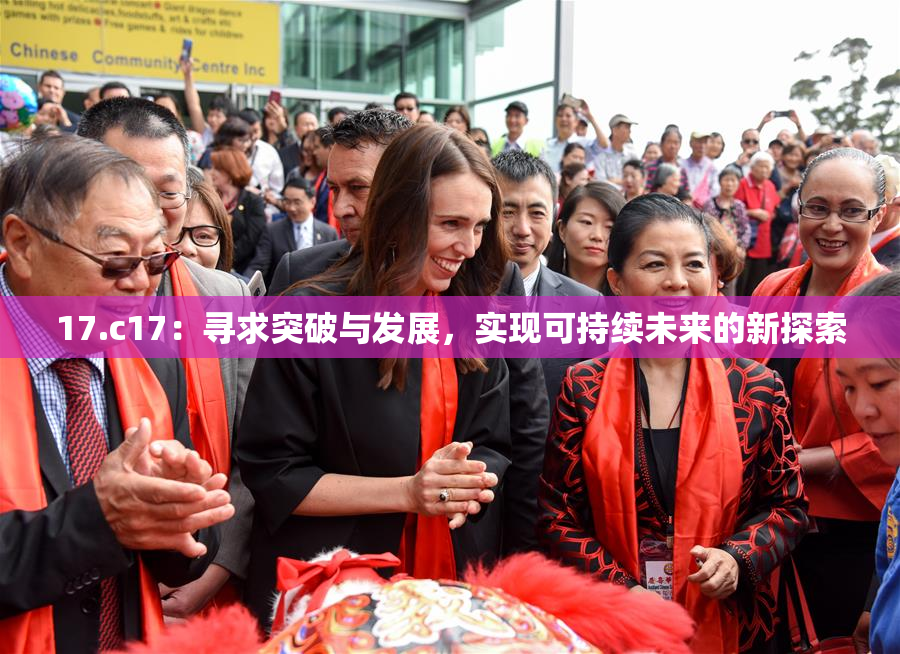 17.c17：寻求突破与发展，实现可持续未来的新探索