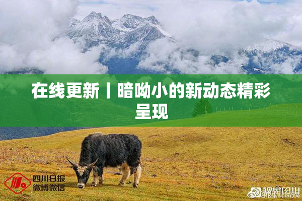 在线更新丨暗呦小的新动态精彩呈现