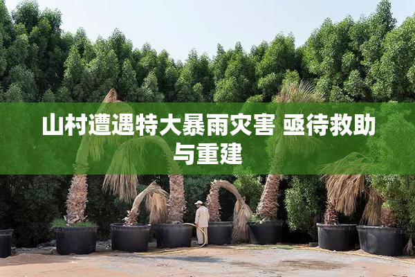 山村遭遇特大暴雨灾害 亟待救助与重建