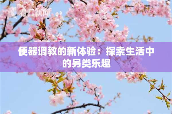 便器调教的新体验：探索生活中的另类乐趣