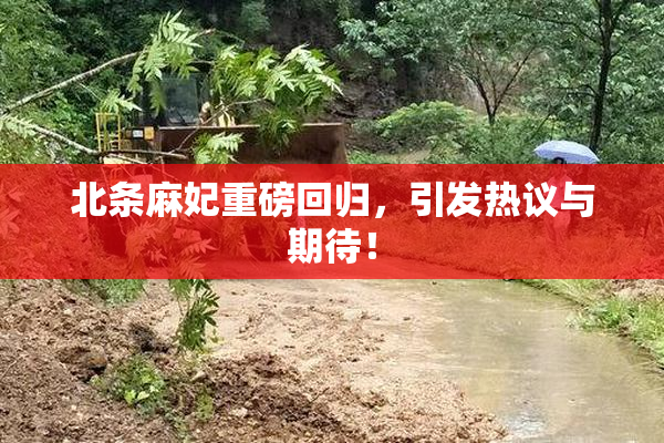 北条麻妃重磅回归，引发热议与期待！