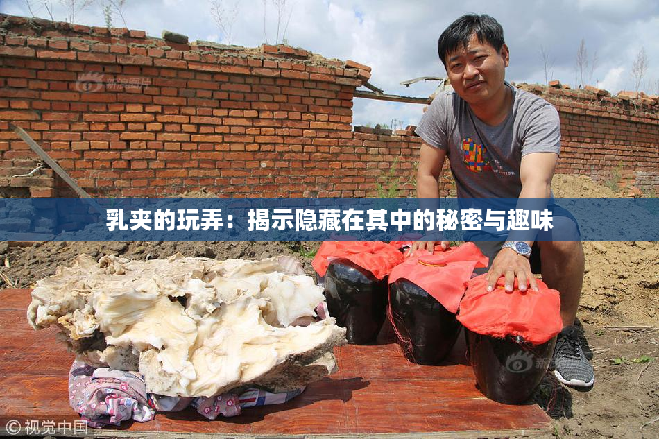 乳夹的玩弄：揭示隐藏在其中的秘密与趣味