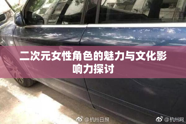 二次元女性角色的魅力与文化影响力探讨