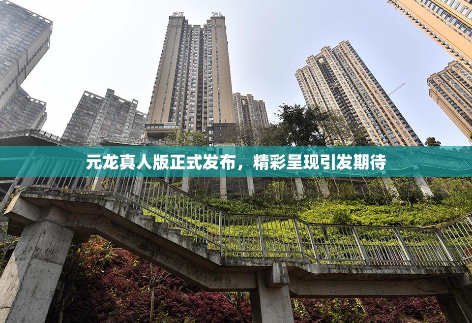 元龙真人版正式发布，精彩呈现引发期待