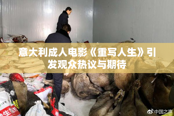 意大利成人电影《重写人生》引发观众热议与期待