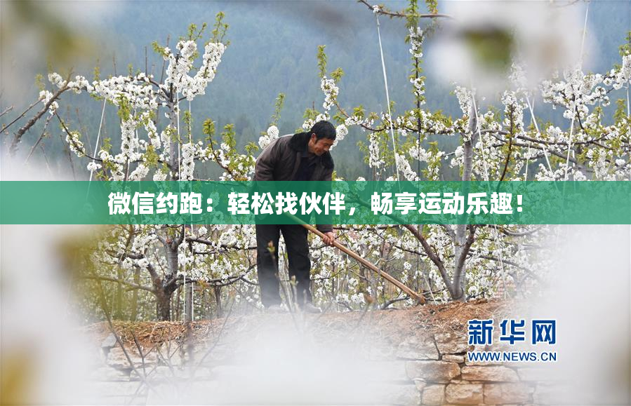 微信约跑：轻松找伙伴，畅享运动乐趣！