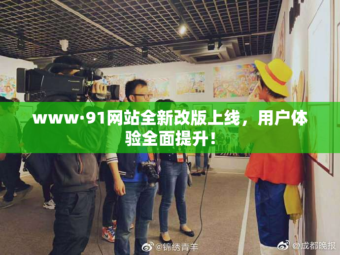 www·91网站全新改版上线，用户体验全面提升！
