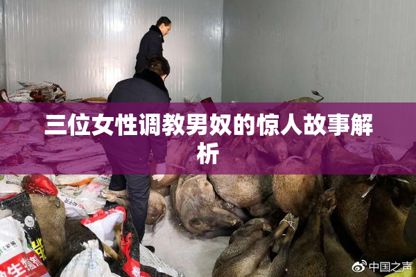 三位女性调教男奴的惊人故事解析