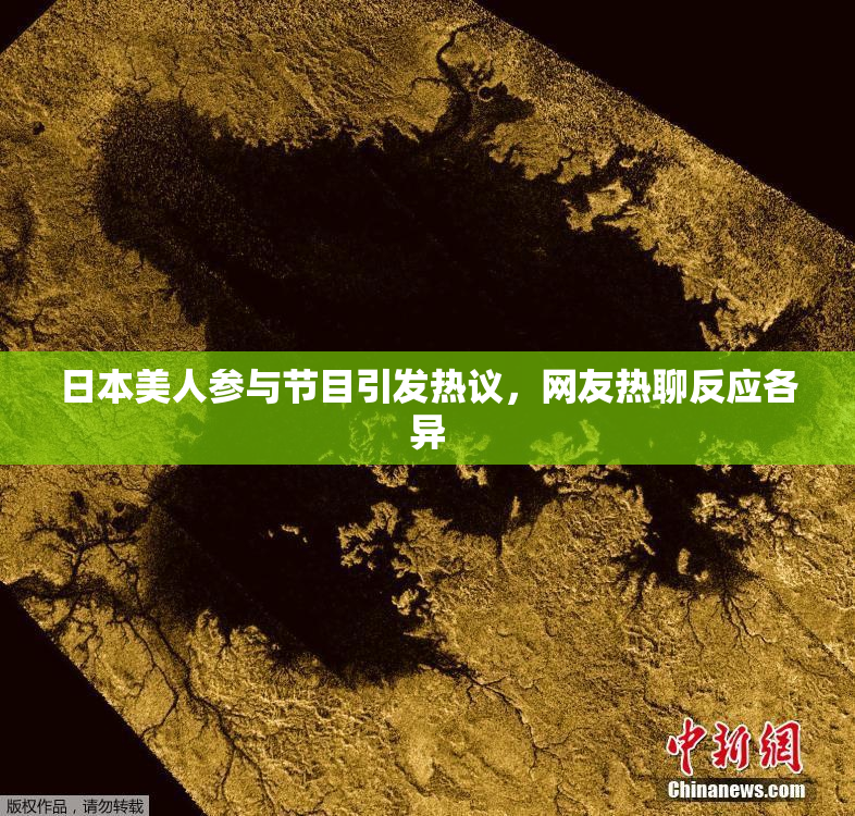 日本美人参与节目引发热议，网友热聊反应各异