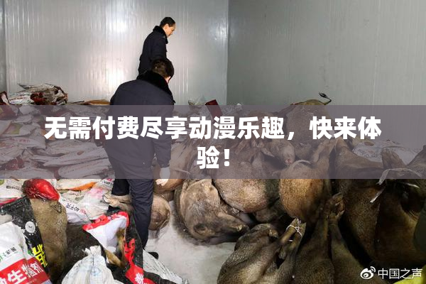 无需付费尽享动漫乐趣，快来体验！
