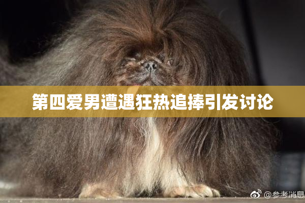 第四爱男遭遇狂热追捧引发讨论
