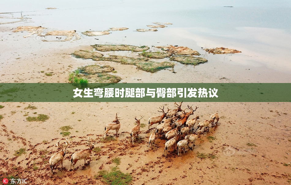女生弯腰时腿部与臀部引发热议