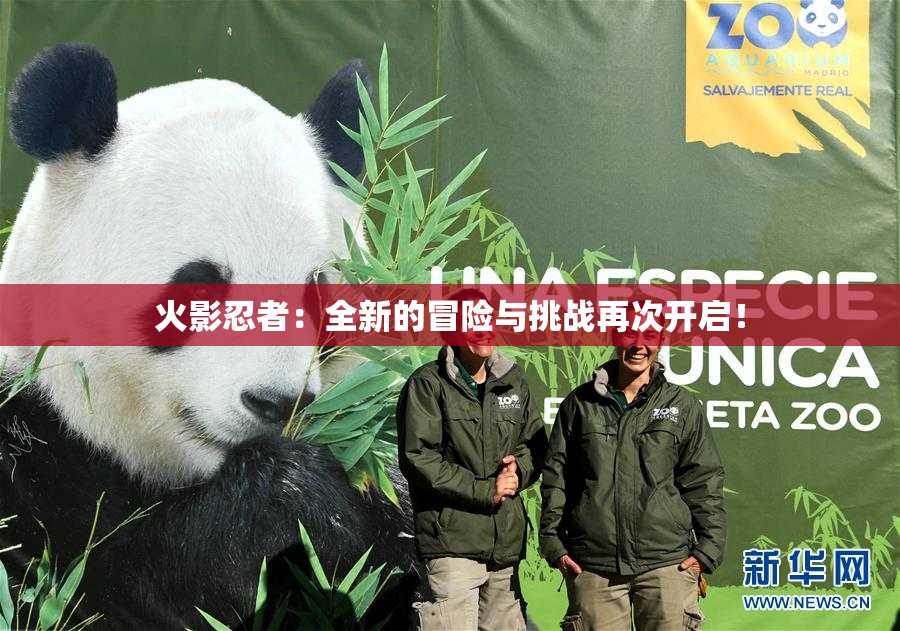 火影忍者：全新的冒险与挑战再次开启！