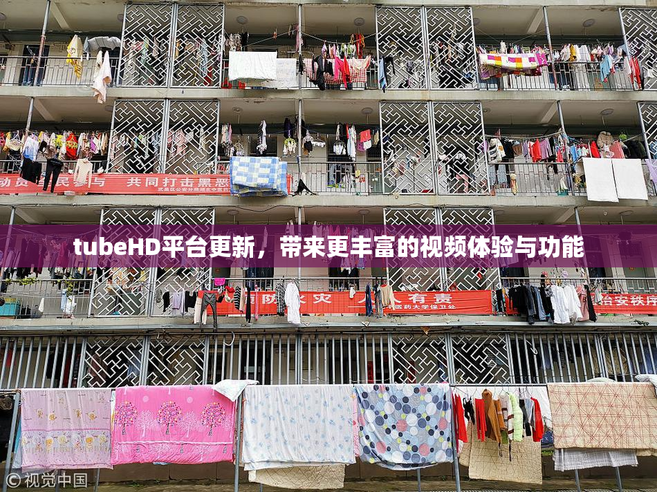 tubeHD平台更新，带来更丰富的视频体验与功能