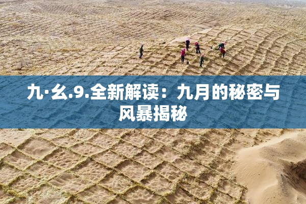 九·幺.9.全新解读：九月的秘密与风暴揭秘