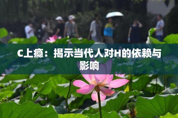 C上瘾：揭示当代人对H的依赖与影响