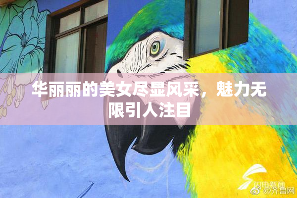 华丽丽的美女尽显风采，魅力无限引人注目