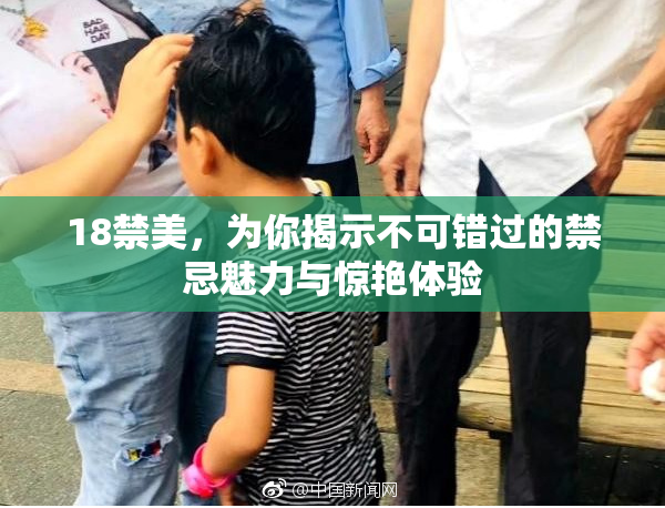 18禁美，为你揭示不可错过的禁忌魅力与惊艳体验