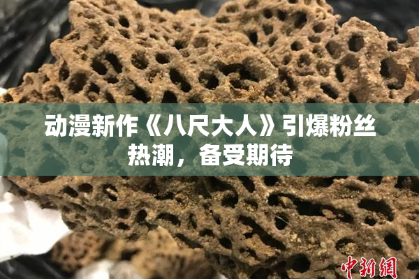 动漫新作《八尺大人》引爆粉丝热潮，备受期待