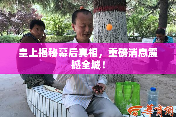 皇上揭秘幕后真相，重磅消息震撼全城！