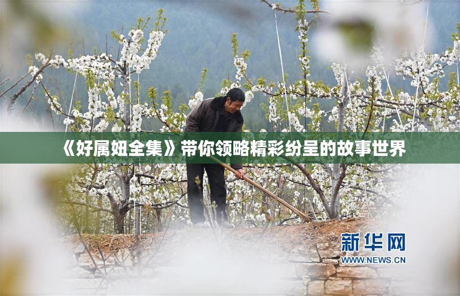《好属妞全集》带你领略精彩纷呈的故事世界