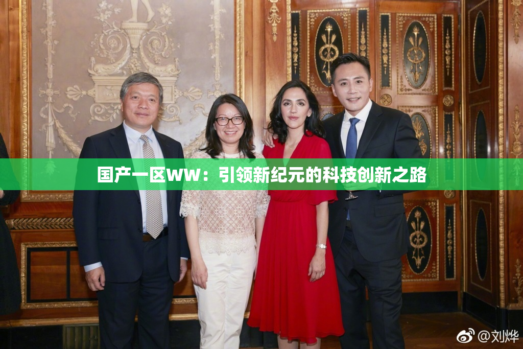 国产一区WW：引领新纪元的科技创新之路