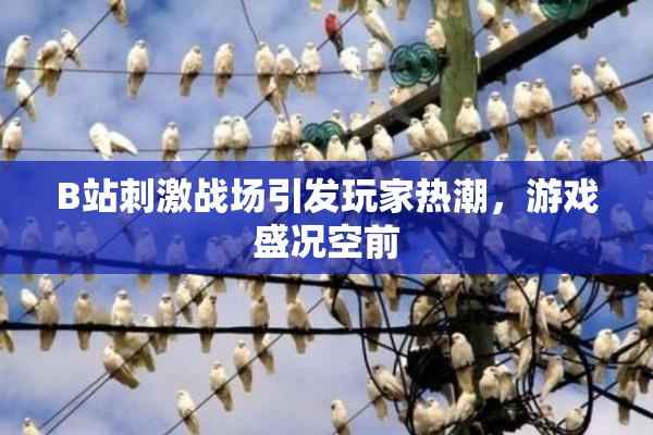 B站刺激战场引发玩家热潮，游戏盛况空前