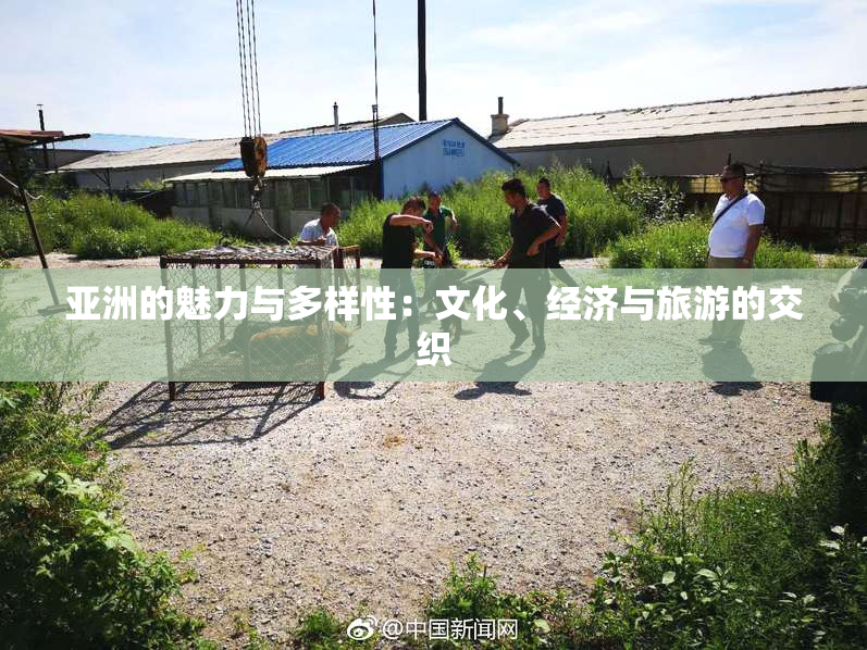 亚洲的魅力与多样性：文化、经济与旅游的交织