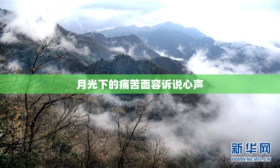 月光下的痛苦面容诉说心声