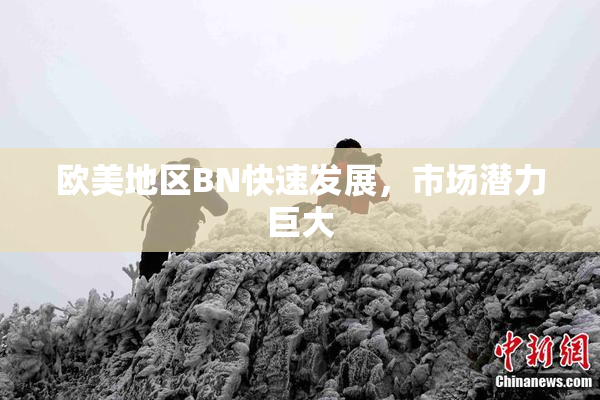 欧美地区BN快速发展，市场潜力巨大